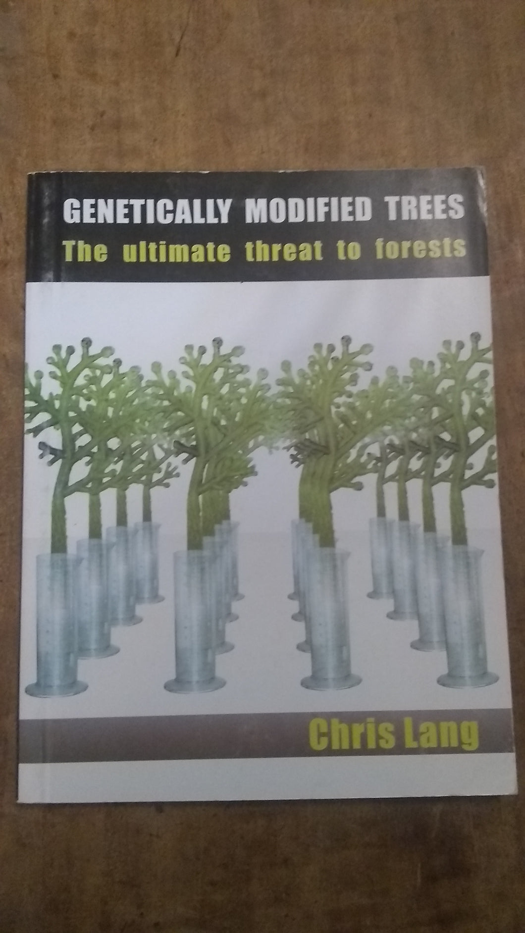 Genetically Modified Trees: The Ultimate Threat to Forests